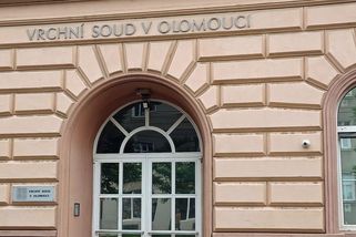 Bratr na jihu Moravy léta sexuálně zneužíval nezletilou sestru, dostal čtyři roky - Novinky